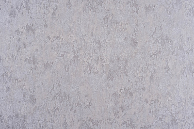 Обои виниловые на бумажной основе Славянские обои Le Grand gold Перышко 4605-03 1,06x10,05 м