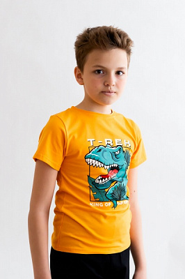 Футболка для мальчиков KOSTA р.146–152 оранжевый 2207-3 