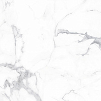 Плитка Alcora Grey F P R Full Lappato 60x60 