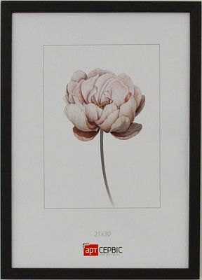 Рамка для фото Арт-Сервіс ЕА-01818 1 фото 21х30 см коричневий