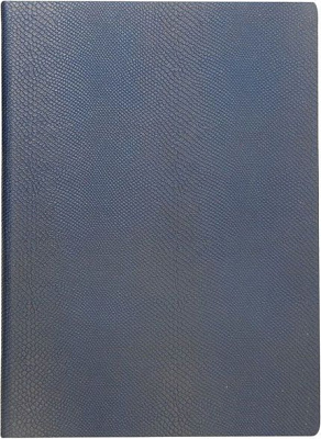 Щоденник недатований Amazonia синій А4 Buromax