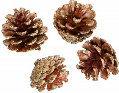 Набор Шишки E5156411-7G 6 см 14 шт./уп. 