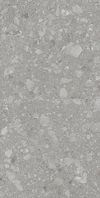Плитка Allore Group Terra Grey F P R Mat (51,84) 60x120x8