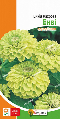 Семена Яскрава цинния махровая Энви