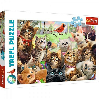 Пазли Trefl Кошенята 260 елементів 6333671
