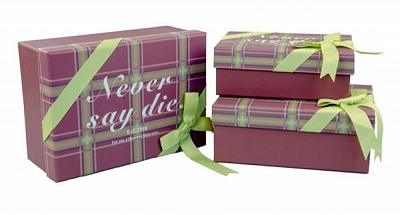 Коробка подарочная 25,5х20,5х10,5 см 107-39-3