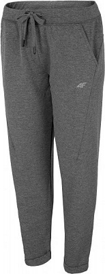 Штани 4F H4L20-SPDD012-24M р. L світло-сірий