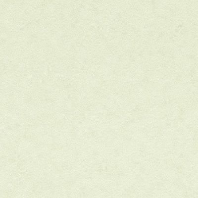 Rasch Piccolo 271287 0.53x10.05 м