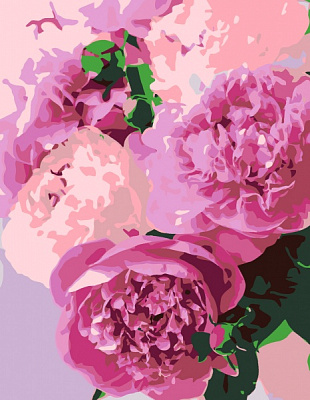 Набір, техніка акриловий живопис за номерами Чарівні півонії 35х45 см Rosa Start