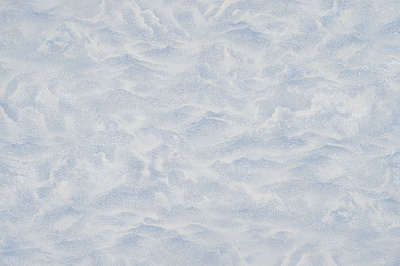 Шпалери вінілові на флізеліновій основі Слов'янські шпалери Elegance collection Парадайс 2 1341-03 1,06x10,05 м