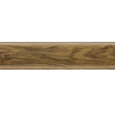 Плiнтус Salag NGF 22x56x2500 мм Дуб Старий