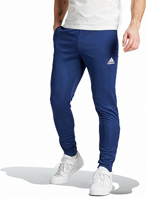 Брюки Adidas ENT22 TR PNT HC0333 р. S синий
