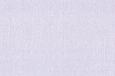 Шпалери вінілові на флізеліновій основі Vinil Астрея стіна ДХН-1497/1 1,06x10,05 м