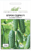 Насіння Професійне насіння огірок Седрік F1 10 шт. (4820176692788)