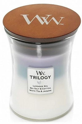 Свеча ароматическая Woodwick Medium Trilogy Calming Retreat (Успокаивающий Ретрит) 275 г 
