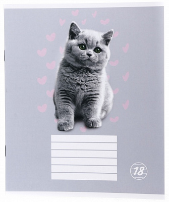 Тетрадь школьная Kitten 18 листов клетка Nota Bene