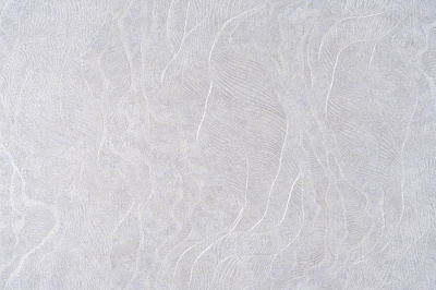 Шпалери вінілові на флізеліновій основі Слов'янські шпалери Le Grand platinum Марсала 8747-03 1,06x10,05 м