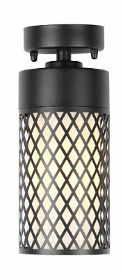 Светильник уличный потолочный Blitz E27 20 Вт IP44 черный 1814-31 