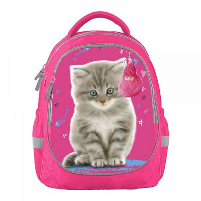 Рюкзак шкільний Bagland Butterfly Кіт 2 рожевий суб.1019 (56591)