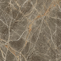 Плитка Golden Tile Stone Roots dark beige SOН500 59,5x59,5 см