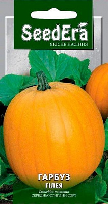 Семена Seedera тыква Гилея 3г