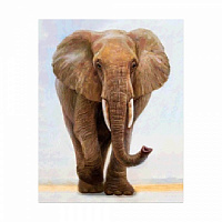 Картина стразами Величний слон FA40162 Strateg 