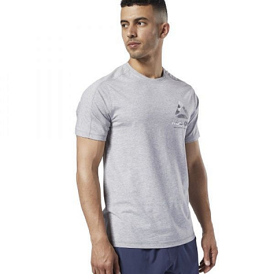Футболка Reebok OST Speedwick Graph EC1024 L сірий
