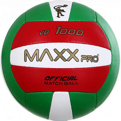Волейбольний м'яч MaxxPro VA 1000 р.5