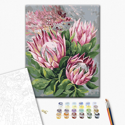Картина за номерами Рожеві протеї 40х50 см Brushme