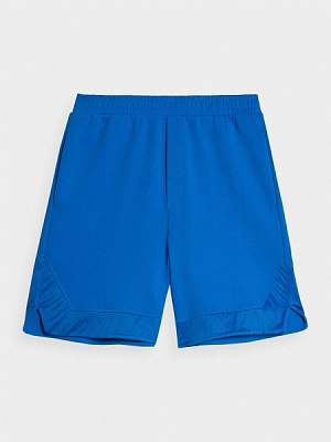 Шорты 4F 4FRSS23TSHOM375-33S р. 2XL синий