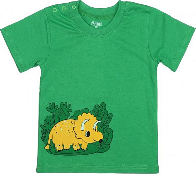 Футболка для мальчиков GABBI FT-21-4-3/1 р.92 зеленый 