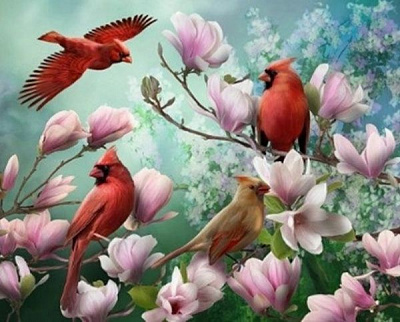 Набор для творчества со стразами на подрамнике с принт. рамой Птицы и магнолии 40x50 см Діамантові ручки 