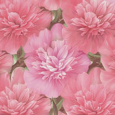 Слов'янські шпалери Expromt В49.4 Паула 929-01 0.53x10.05 м