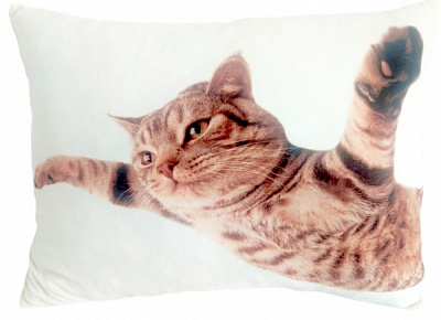 Подушка декоративная Кот летящий 40x50 см Selena 