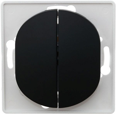 Вимикач двоклавішний Aling-Conel Eon без підсвітки 10 А 250В чорний E606.E1