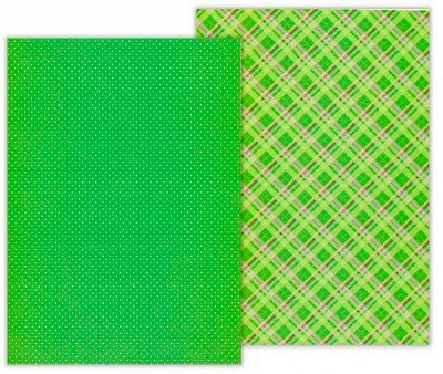 Папір з малюнком двосторонній Клітинка зелений А4 21х29.7см 300г/м2 Heyda