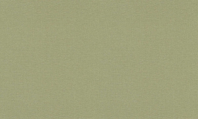 Шпалери вінілові на флізеліновій основі Erismann Secret Garden 12242-07 1,06x10,05 м