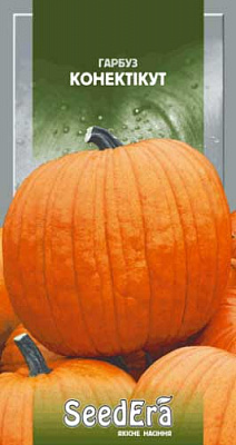 Насіння Seedera гарбуз Конектікут 2г