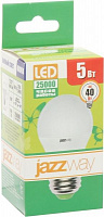 Лампа світлодіодна Jazzway Pled Eco 5 Вт G45 матова E27 220 В 4000 К 1036988 