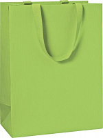 Пакет подарунковий One Colour light green 25х13х33 см STEWO