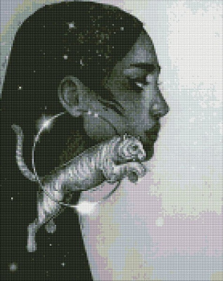 Алмазная мозаика Созвездие тигра Идейка 