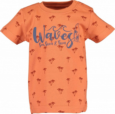 Футболка для мальчиков Blue Seven р.80 оранжевый 928119 X_234_р.80 