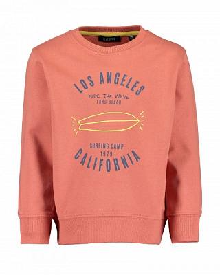 Реглан для хлопчика Blue Seven р.92 817605 X_243_р.92