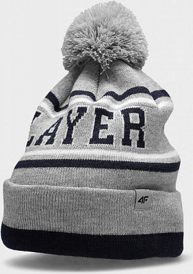 Шапка 4F CAP JCAM005 HJZ22-JCAM005-27M р.OS серый