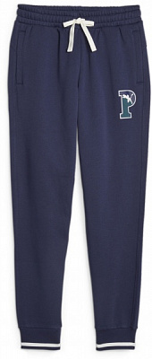 Штани Puma PUMA SQUAD SWEATPANTS FL CL 67601906 р. M синій