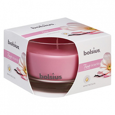Свічка у склянці Bolsius True Joy-Winter Edition 66/83 з пробкою аромат Зимовий ліс
