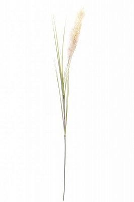 Гілочка декоративна Осока 118 см зеленого кольору Девілон
