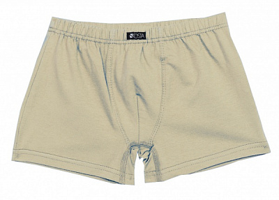 Труси для хлопчиків KOSTA р.134–140 бежевий 2105-3