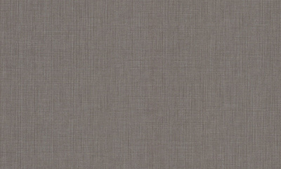 Шпалери вінілові на флізеліновій основі PROfhome РН 100 Р 06 1,06x10,05 м