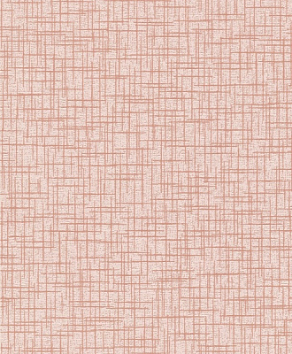 Шпалери вінілові на паперовій основі Bravo 80265BR54 0,53x10,05 м